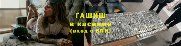сатива Алзамай