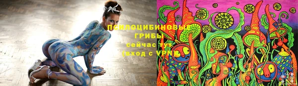 сатива Алзамай