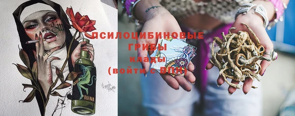 сатива Алзамай